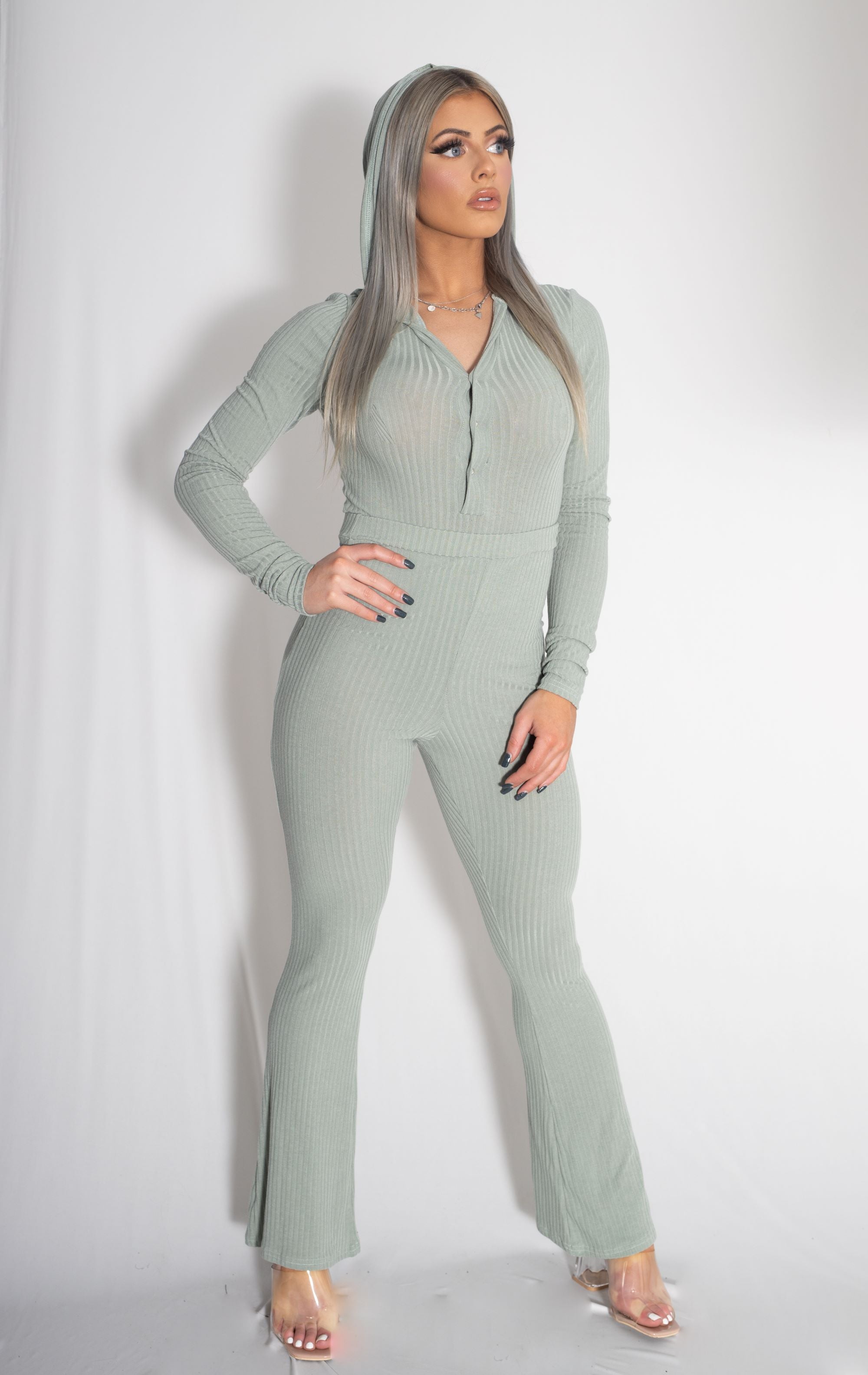 Zammi FULL SLEEVE BODYSUIT WITH HOOD AND FLARE TROUSERS SET in Mint - Back View